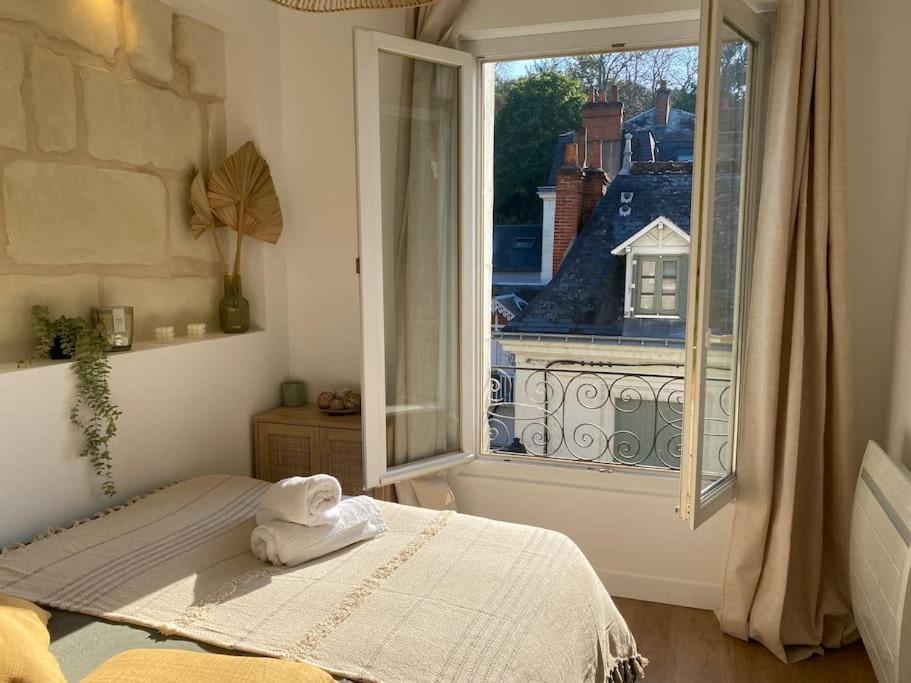 Duplex Cinema - Centre Historique Tours Apartman Kültér fotó
